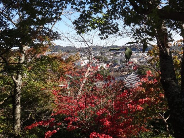 鎌倉駅から長谷寺 徒歩